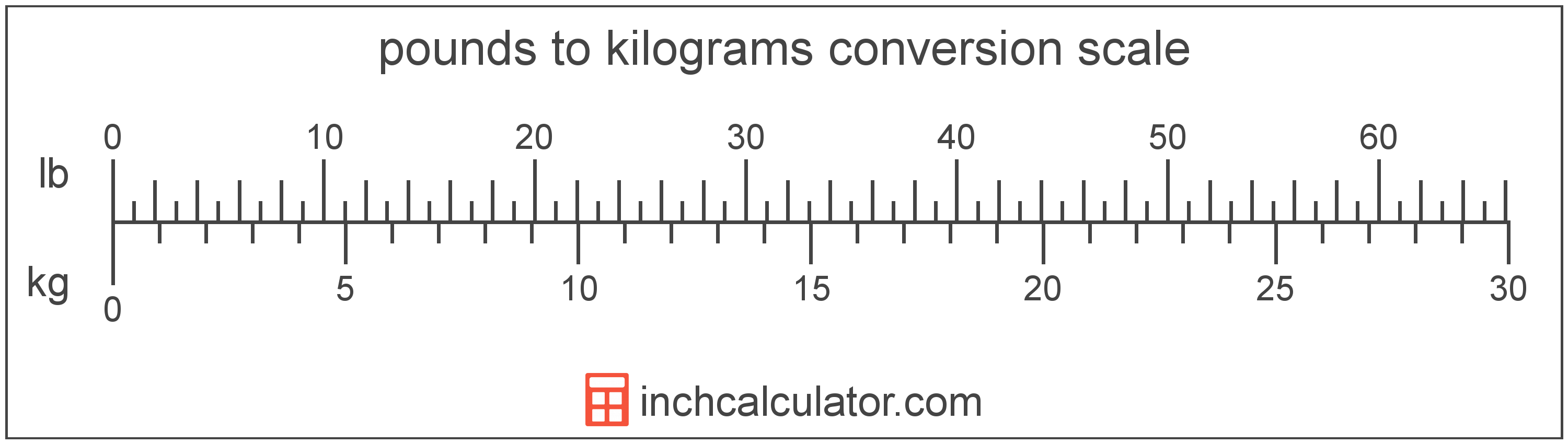 conversion scale showing weight in pounds and equivalent value in kilograms