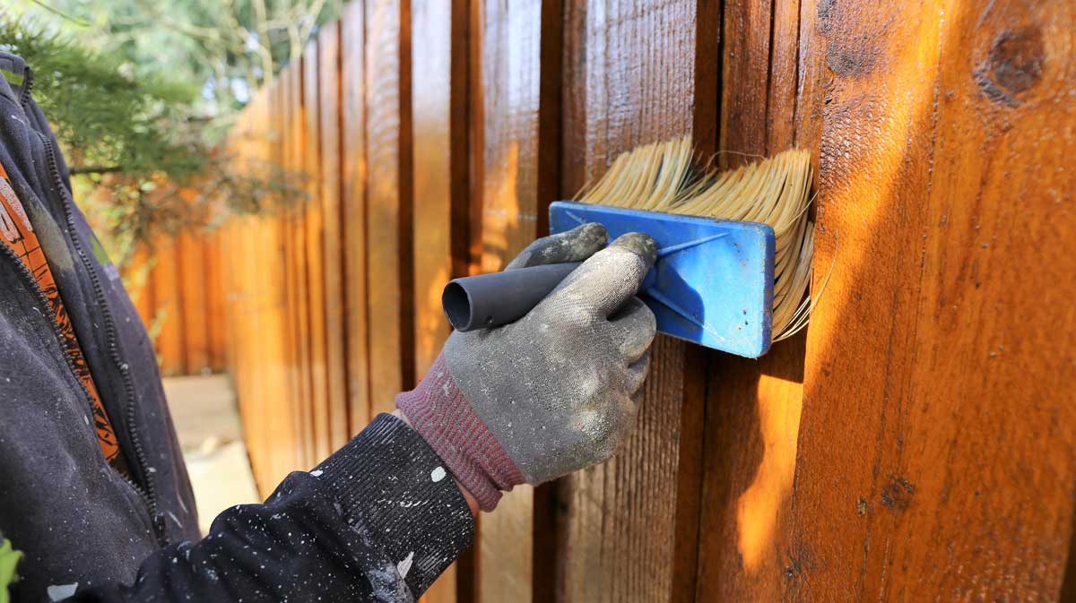 Painter applying stain to a fence using a brush
