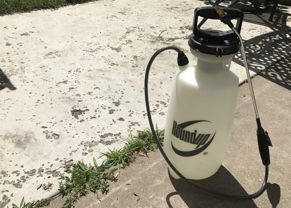 Chemical sprayer used to remove weeds from lawns and patios