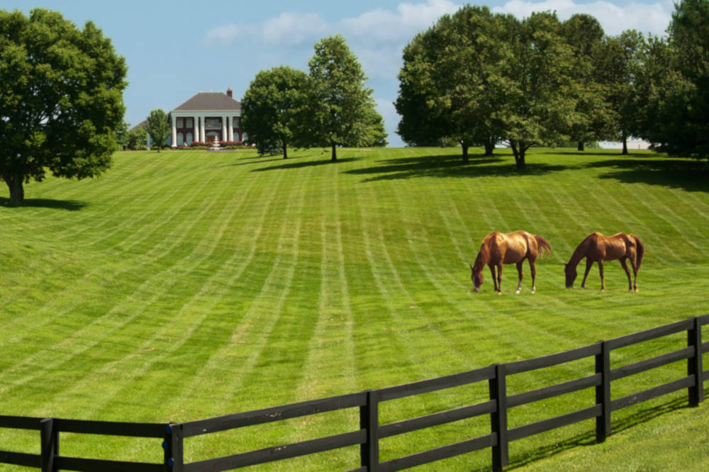 Large property with horses and several acres of pasture.